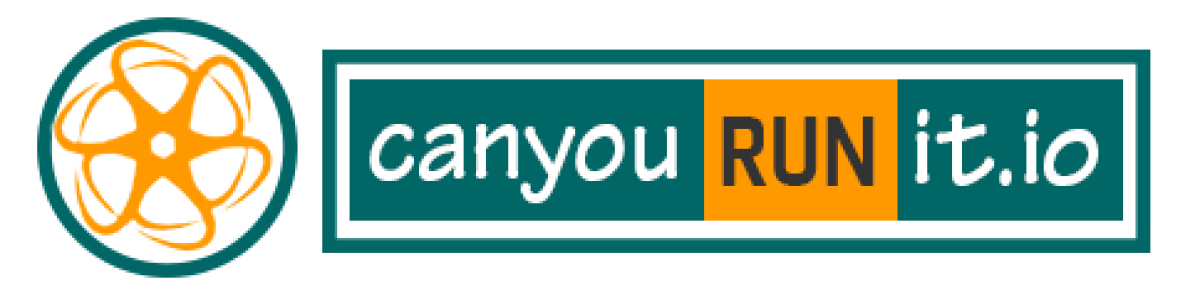 Can You Run It